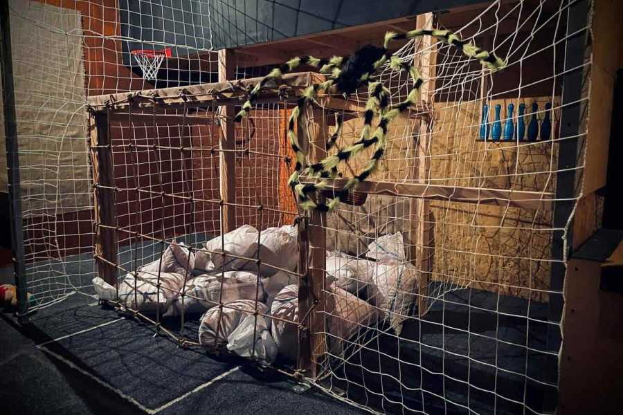 Квест в реальности Форт Боярд. Побег от зомби от компании Форт Боярд Квест в реальности Форт Боярд. Побег от зомби от компании Форт Боярд